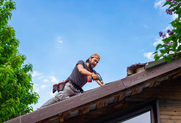 Best Storm Damage Roof Repair  in Chicago Heights, IL
