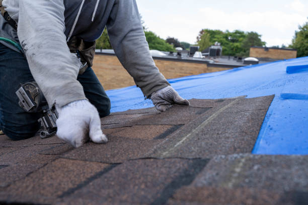 Sheet Metal Roofing in Chicago Heights, IL
