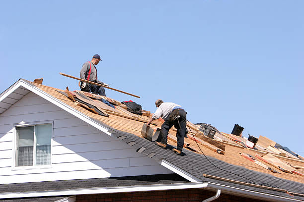 Best Rubber Roofing (EPDM, TPO)  in Chicago Heights, IL
